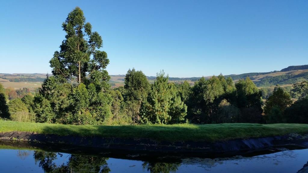 Arum Hill Lodge Balgowan Esterno foto