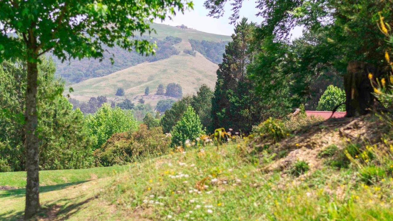 Arum Hill Lodge Balgowan Esterno foto